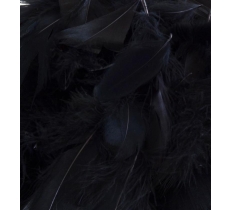 Eleganza Feathers Mixed sizes 3"-5" 50g bag Black No.20