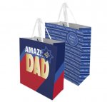 FATHER'S DAY LARGE GIFT BAG