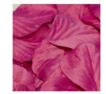 ELEGANZA ROSE PETALS - FUCHSIA 164PCS