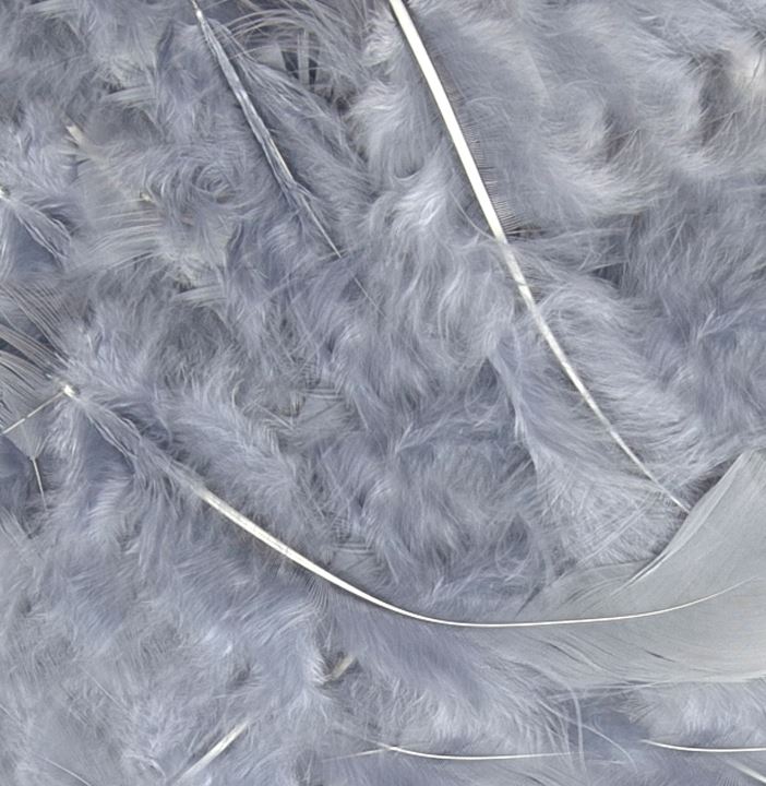 Eleganza Craft Feathers Mixed sizes 3"-8" 8g bag Silver - Click Image to Close