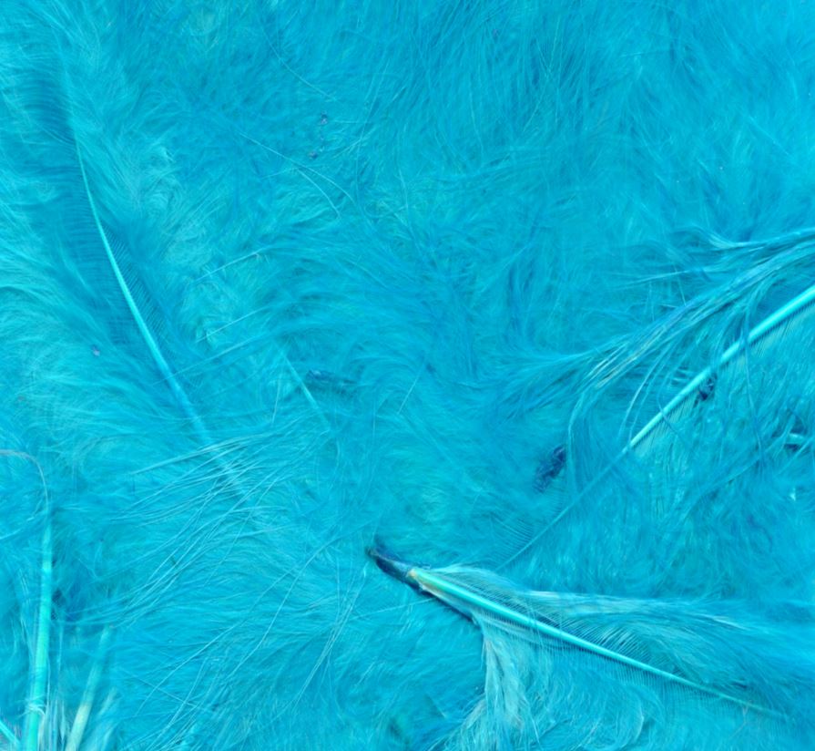 ELEGANZA CARFT MARABOUT FEATHERS MIXED SIZES 3-8" TURQUOISE - Click Image to Close