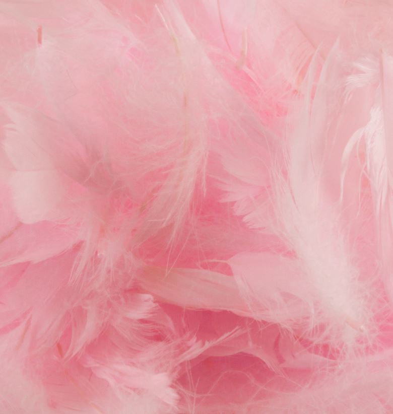 ELEGANZA FEATHERS MIXED SIZES 3INCH-5INCH 50G BAG LT. PINK - Click Image to Close