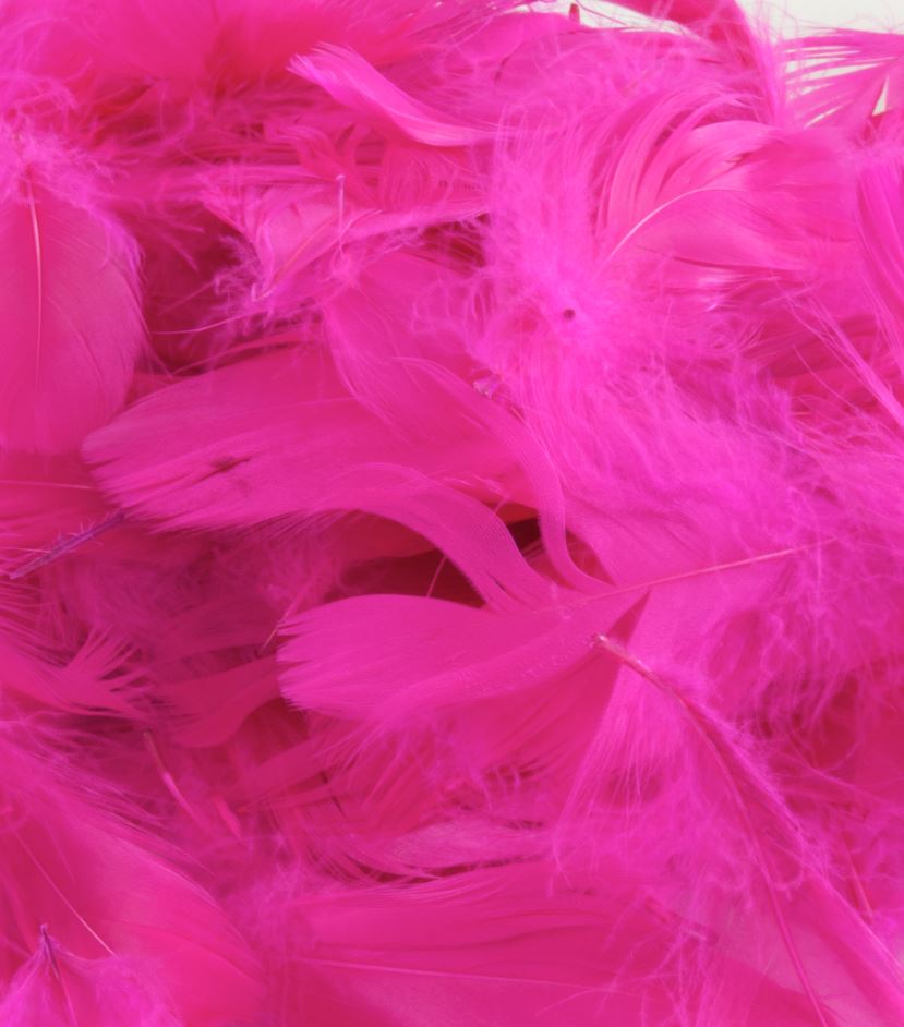 ELEGANZA FEATHERS MIXED SIZES 3INCH-5INCH 50G BAG FUCHSIA - Click Image to Close