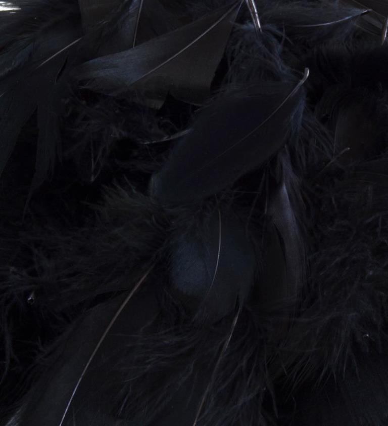 Eleganza Feathers Mixed sizes 3"-5" 50g bag Black No.20 - Click Image to Close