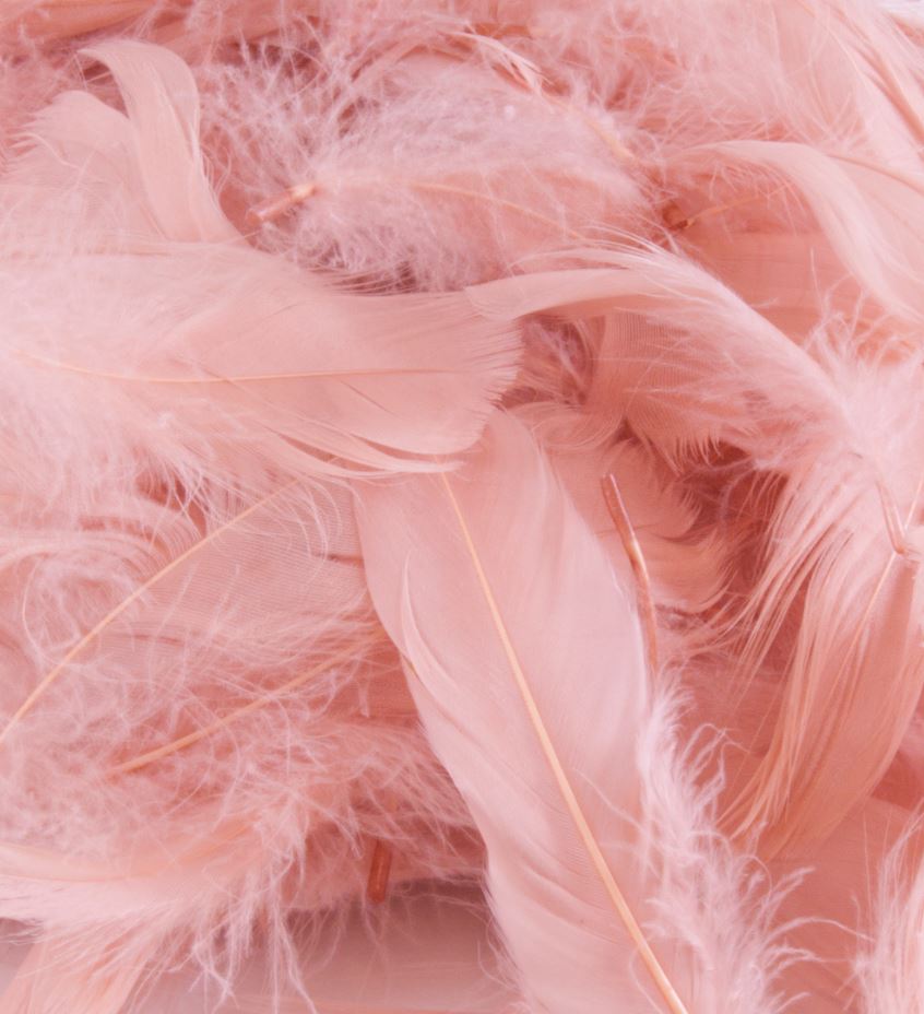 ELEGANZA FEATHERS MIXED SIZES 3INCH-5INCH 50G BAG ROSE GOLD - Click Image to Close