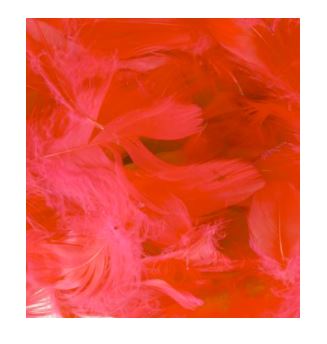 ELEGANZA FEATHERS MIXED SIZES 3"-5" 50G BAG RED NO.16 - Click Image to Close